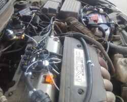 HONDA ACCORD 2005 - TARTARINI
