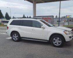 MERCEDES GL450 V8 2009 - ZENIT PRO OBD