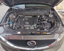 MAZDA CX-5 2019 - PRINS Direct LiquiMax Gen3