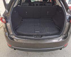 MAZDA CX-5 2019 - PRINS Direct LiquiMax Gen3