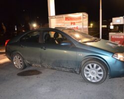 NISSAN PRIMERA 2002 - TARTARINI