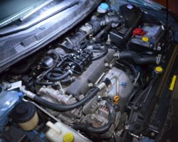 NISSAN PRIMERA 2002 - TARTARINI