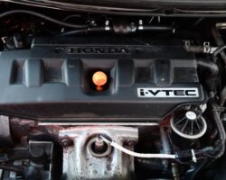 HONDA CIVIC 2008 - TARTARINI