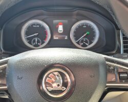 ŠKODA KODIAQ - PRINS